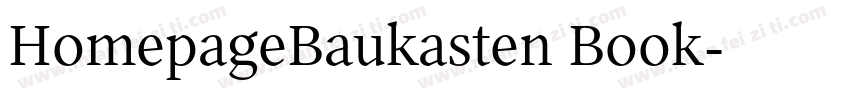 HomepageBaukasten Book字体转换